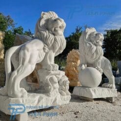 trang chủ Tượng Sư Tử