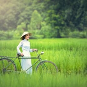 trang chủ Khách Hàng Tài Đánh Giá